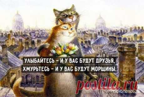 Жизненные советы в картинках