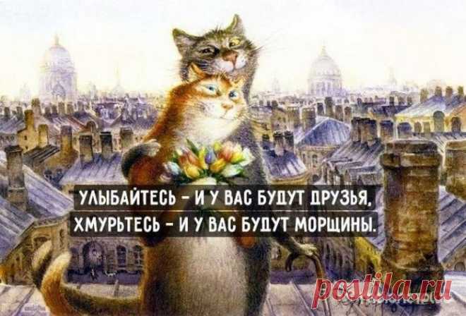 Жизненные советы в картинках