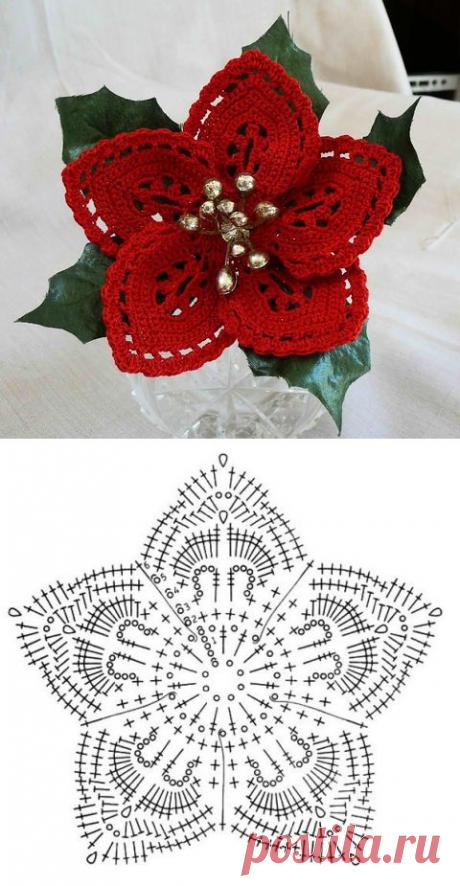 Как вязать цветы крючком. Вязаная крючком пуансеттия схема | Домоводство для всей семьи
