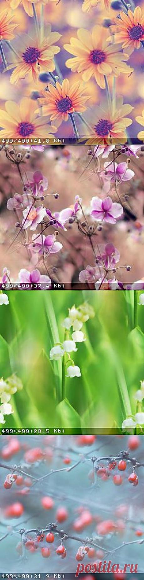 @дневники — Прекрасные фоны для дневников