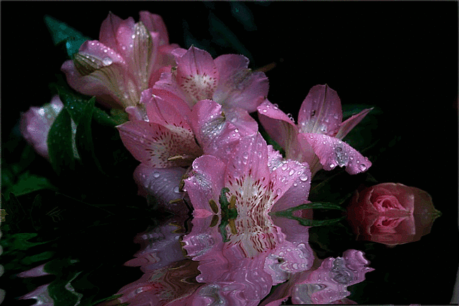 гифки красивые: 3 тыс изображений найдено в Яндекс Картинках