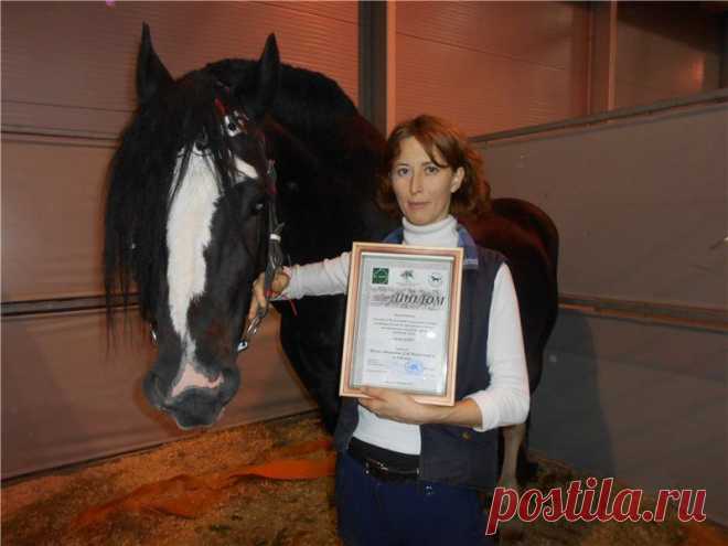 Музей Д.И.Менделеева и А.А.Блока 
17 октября 2015  в рамках Международной конной выставки «Эквирос» состоялся первый Всероссийский Чемпионат лошадей Владимирской породы.
В Чемпионате приняли участие лошади из разных регионов России: Ивановской и Вологодской области, Санкт-Петербурга. Москву и Московскую область представлял жеребец музея-заповедника Д.И. Менделеева и А.А. Блока по кличке Бриг...