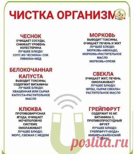 Чистка организма