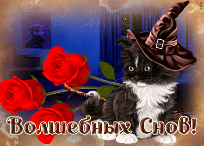 Открытка сладких снов, котик