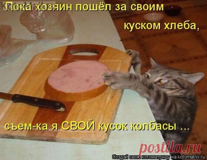Мушкетер | KotoMail.ru