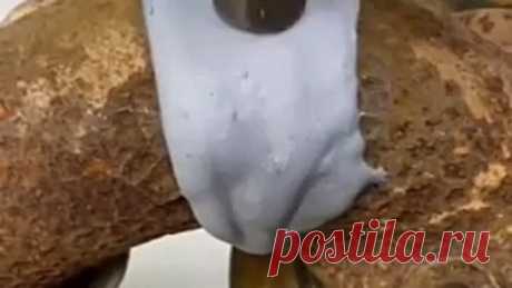 VID-20220118-WA0052.mp4