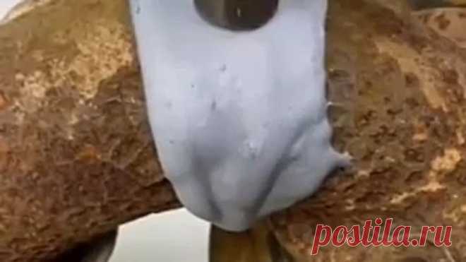 VID-20220118-WA0052.mp4