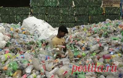 Планета Земля и Человек: Только треть пластиковой тары для пищевых продуктов поддается переработке