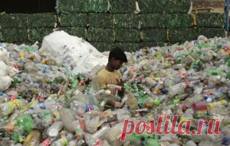 Планета Земля и Человек: Только треть пластиковой тары для пищевых продуктов поддается переработке