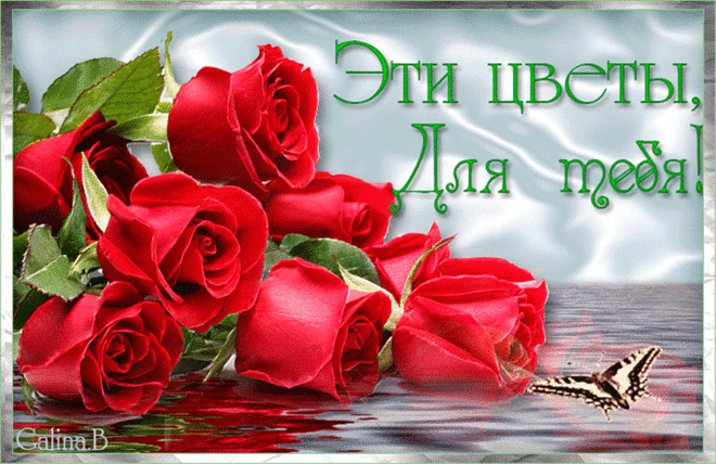 Красивая открытка. Цветы