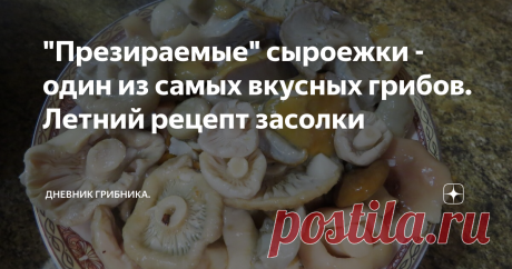 "Презираемые" сыроежки - один из самых вкусных грибов. Летний рецепт засолки Сыроежки, если к ним подойти с уважением, почти деликатесный гриб, особенно в засолке.
Представьте - начало лета, до рыжиков-груздей еще пара месяцев, а до молодой картошки всего пара недель. Какой же россиянин не любит молодой картошки? Со сметаной