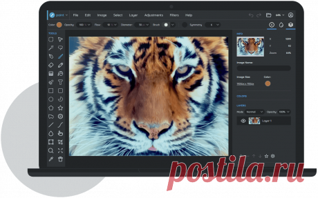 sumopaint.com