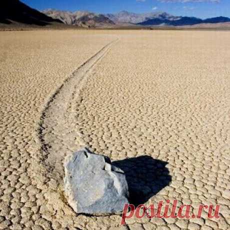 Google+