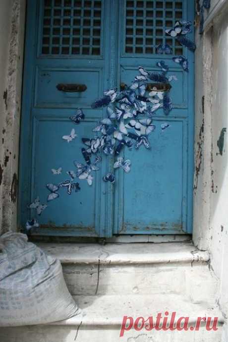 Mister Finch - Timeline Photos