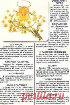 (74) Одноклассники