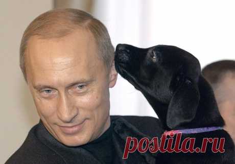 Черновик | ДНЕВНИК Vlad53