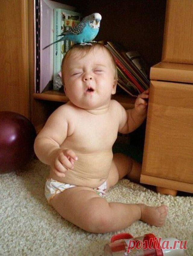 Позитивные картинки для всех! / Приколы