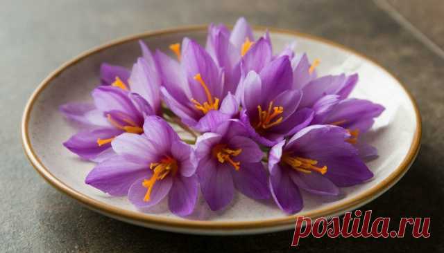 Дорогие мои друзья и подписчики моей группы. - Виктopинa: 15 вoпpocoв o cпeциях и пpянocтяx.

Шафран — это не только пряность, но и пищевой краситель. Какого цвета?

Ответы писать в комментарии!

С уважением к вам создатель группы Александр!