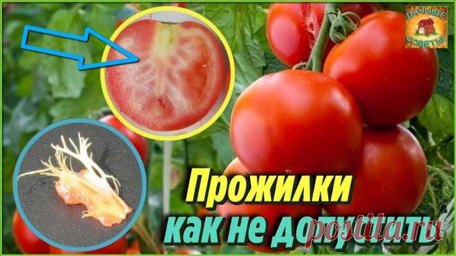 Никогда бы не подумала, вот они самые важные причины, почему помидоры вырастают с белыми прожилками внутри
