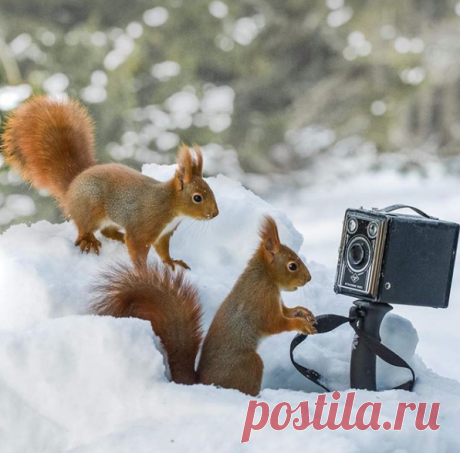 Придумайте подпись к фото! @jappern