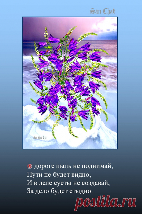 %D1%8155.bmp (752×1135)