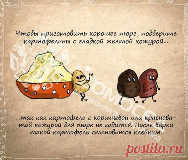 http://adriana.mlmshkola.ecommtools.com/item/6