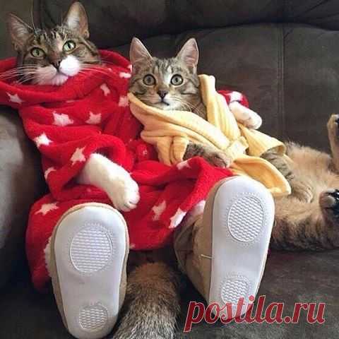 Хороший вечер! =) Когда вокруг шумят холодные дожди. Я и ты)