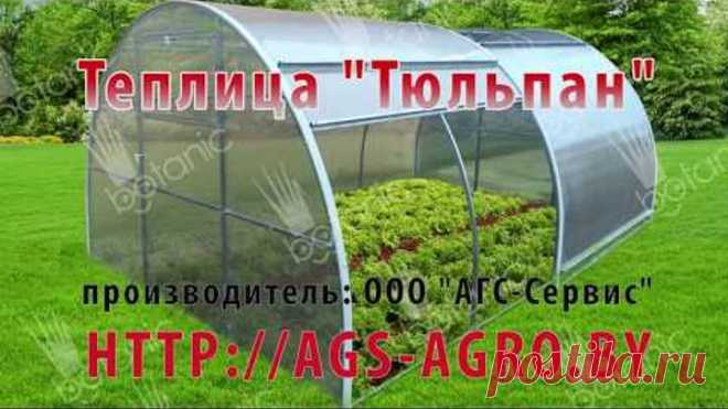 Теплица с открывающейся крышей Ботаник™ ТЮЛЬПАН + КРАБ