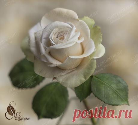 Розы из шелкового фоамирана с фактурными лепестками - CoffeeDecor.ru Протестировала я новый мк на шелковом фоамиране (по свойствам очень напоминает зефирный фоамиран, но на ощупь он, и правда, как шелк). Розы получаются ооочень мягкие, форму держат. Тонкая зефирка более жесткая. Шелковый фоамиран требует более[...]