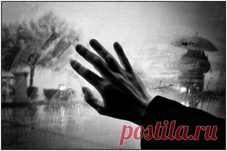 Красивые фотографии дождя (35 фото)