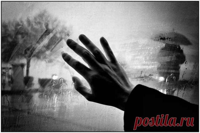 Красивые фотографии дождя (35 фото)