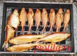 Копчение рыбы дома и на природе | Готовим Дома | Кулинарные рецепты