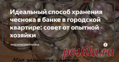 Идеальный способ хранения чеснока в банке в городской квартире: совет от опытной хозяйки Почти все люди знают о пользе чеснока, и есть просто гурманы этого овоща. Он вкусен и отлично сочетается с множеством блюд, а еще это средство для укрепления иммунитета в холодное время года. Ну, а самый полезный, это выращенный своими руками, на собственной грядке. Такой чеснок экологически чистый и самый полезный. Но, бывает так, что его очень трудно сохранить в условиях городской квартиры.
Но т