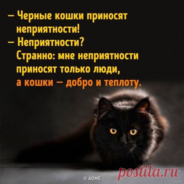 13 примет и суеверий со всего мира, которые не поддаются логике: goo.gl/Sek4Tn
