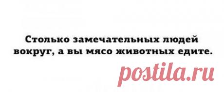 Немного юмора в прикольных фотках и картинках | Позитив в картинках и не только