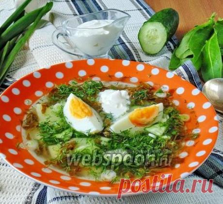 Холодный суп из щавеля