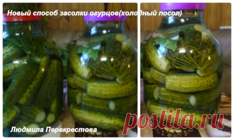 (48) Одноклассники