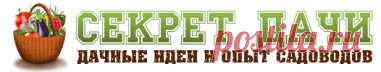 Лучшее из лучшего!