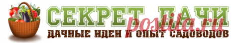 Лучшее из лучшего!