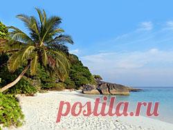 Суккулентные растения, Петр Лапшин, каталог для заказа - succulents by Peter Lapshin