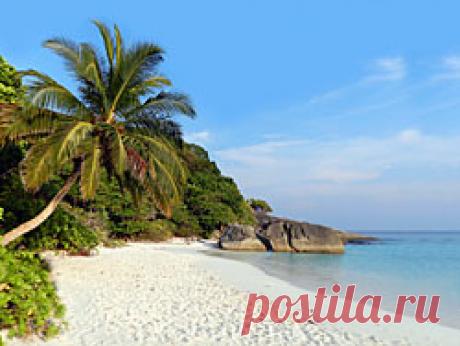 Суккулентные растения, Петр Лапшин, каталог для заказа - succulents by Peter Lapshin