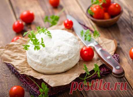 Сулугуни: рецепт кавказского сыра