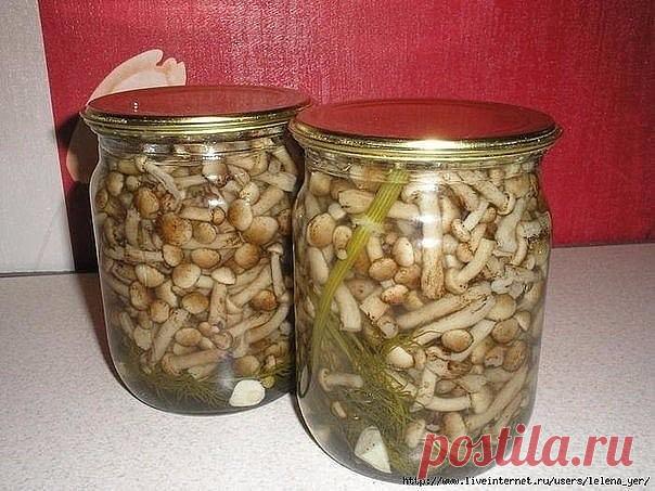 Одноклассники