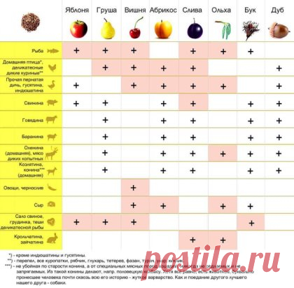 С чем можно совмещать щепы копчения! Отличная табличка, на заметку!