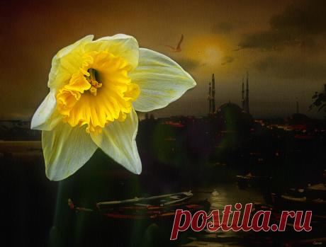 Задержитесь на миг, посмотрите, проснулась природа...