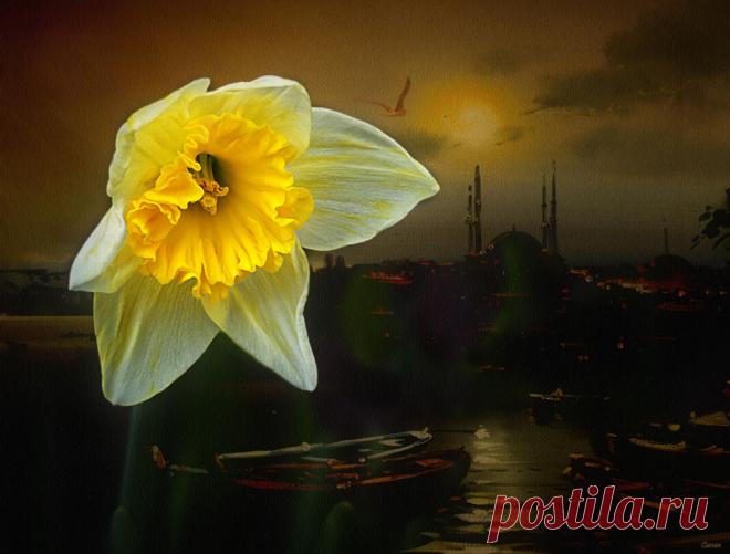 Задержитесь на миг, посмотрите, проснулась природа...