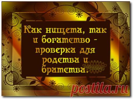 нина: отвечу на личные сообщения. вип- статус не активен.
