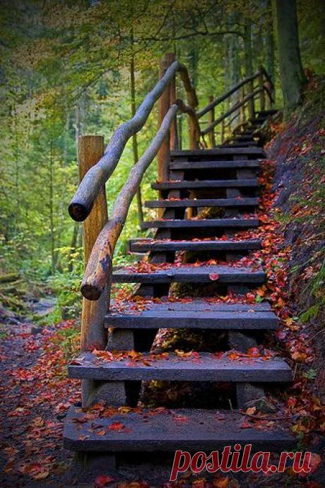(243) Pinterest: инструмент для поиска и хранения интересных идей