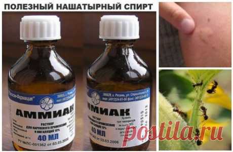 Фотографии на стене сообщества | 32 813 фотографий | ВКонтакте