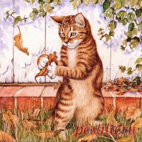 Рисованные кошки от Cook.